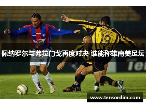 佩纳罗尔与弗拉门戈再度对决 谁能称雄南美足坛