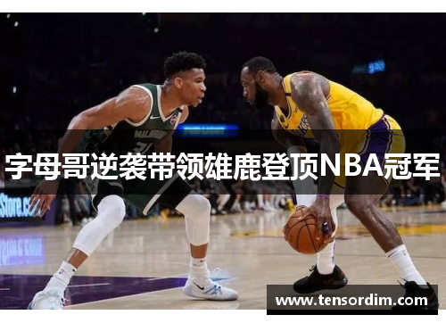 字母哥逆袭带领雄鹿登顶NBA冠军