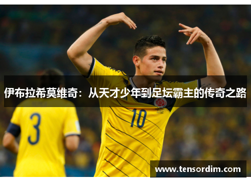 伊布拉希莫维奇：从天才少年到足坛霸主的传奇之路