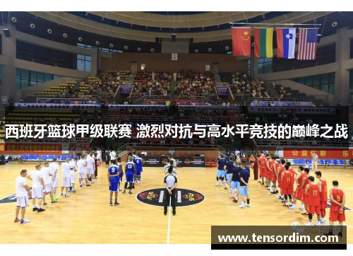 西班牙篮球甲级联赛 激烈对抗与高水平竞技的巅峰之战