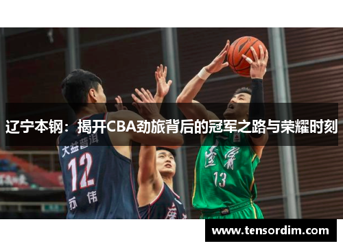 辽宁本钢：揭开CBA劲旅背后的冠军之路与荣耀时刻