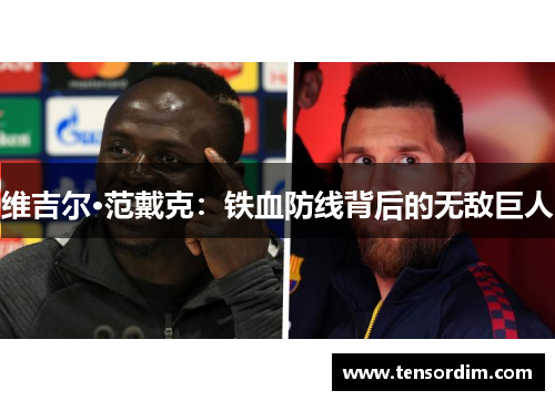 维吉尔·范戴克：铁血防线背后的无敌巨人