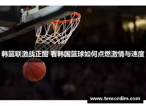 韩篮联激战正酣 看韩国篮球如何点燃激情与速度