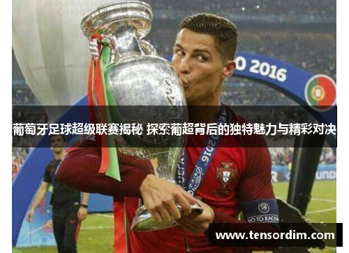 葡萄牙足球超级联赛揭秘 探索葡超背后的独特魅力与精彩对决
