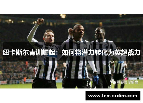 纽卡斯尔青训崛起：如何将潜力转化为英超战力