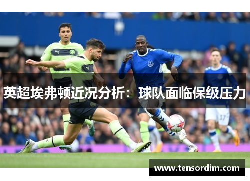 英超埃弗顿近况分析：球队面临保级压力